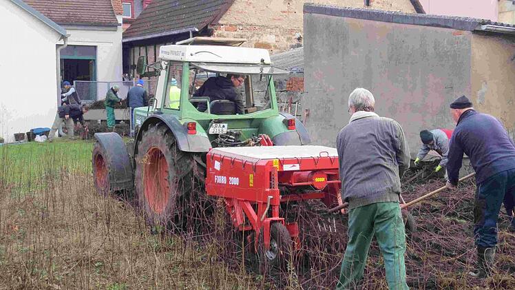 "Viele Händ' machen schnell a End'" gilt auch bei der Süßholzernte. In vier Stunden wurde auf dem 800-Quadratmeter-Feld der Süßholzgesellschaft die edlen Wurzeln eingebracht.  Foto: Stadt Bamberg