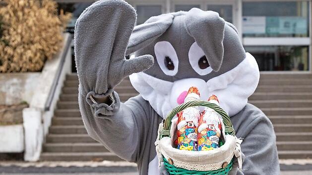 Als Osterhase kost&uuml;miert, &uuml;berreichte ein Sch&uuml;ler am Eberner Gymnasium jetzt Schoko-Nikol&auml;use.