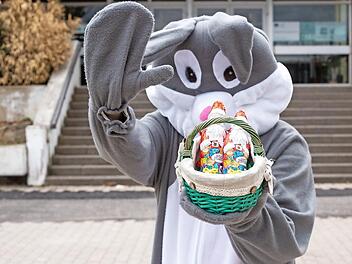Als Osterhase kostümiert, überreichte ein Schüler am Eberner Gymnasium jetzt Schoko-Nikoläuse.