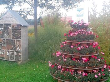 Sein Jubiläum feiert der Gartenbauverein Schönderling am kommenden Sonntag und Montag.  Foto: Beatrix Lieb
