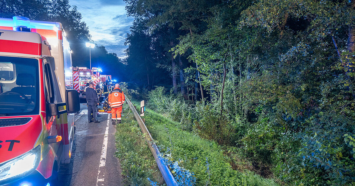 Im Kreis Bamberg: Auto stürzt mit Frau und Hund Böschung hinab