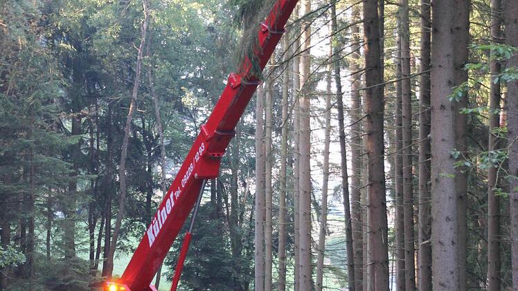 Äste mussten von Bäumen an den "7 Fuhren" entfernt werden.  Foto: Friedwald Schedel