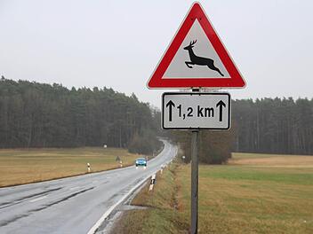 Waldränder - hier zwischen Kersbach und Effeltrich - sind typische Wildwechsel-Stellen.  Fotos: Andreas Schmitt