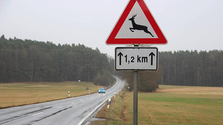 Waldränder - hier zwischen Kersbach und Effeltrich - sind typische Wildwechsel-Stellen.  Fotos: Andreas Schmitt