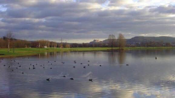 Userfoto: Renate Kaupper