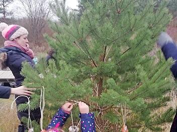Die Kinder behängen den Weihnachtsbaum für Tiere.  Foto: erl