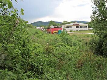Etwas verwildert und ein paar Hallen: So präsentiert sich das Wakro-Gelände am Äußeren Frankenring momentan. Fotos: Tobias Kindermann