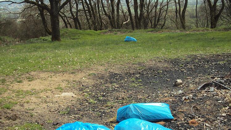 Am Sonnenstuhl in Höchstadt hat eine Spaziergängerin diese illegal entsorgten Säcke gefunden. Foto: privat
