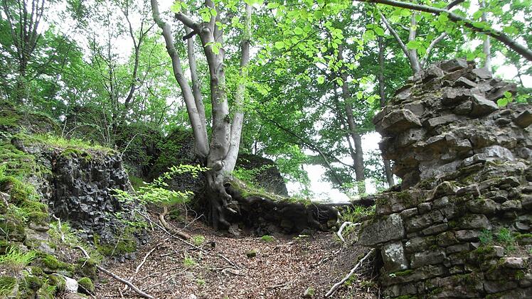 Die Burgruine Werberg. Foto: Joachim Rübel
