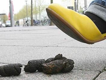 Die Gemeinde Weißenbrunn möchte, dass der Ärger um den Hundekot weiter abnimmt. Foto: dpa/Archiv