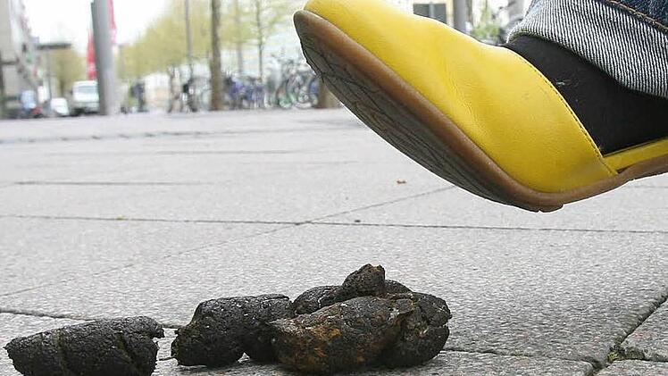 Die Gemeinde Weißenbrunn möchte, dass der Ärger um den Hundekot weiter abnimmt. Foto: dpa/Archiv