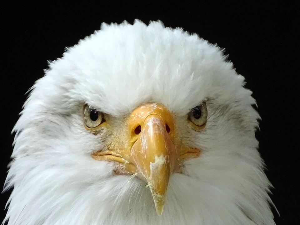 Ein Besuch im Wildtierpark Schloss Tambach. Danke an inFrankenPix-Nutzer herzolife!