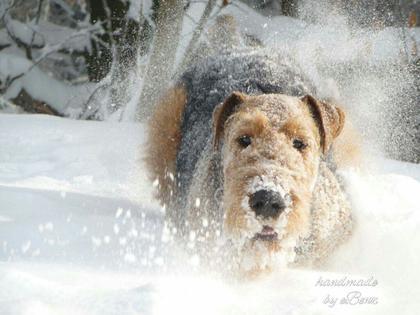 Foto: Evelin Penzler