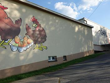 Im Itzgrunder Gemeindeteil Lohof plant Stefan Carl eine Erweiterung seiner Tierhaltung. Der Gemeinderat Itzgrund gab grünes Licht dafür. Foto: Doris Weidner
