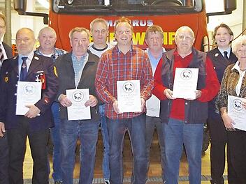 Bei der Küpser Feuerwehr wurden langjährige Mitglieder für ihre Treue ausgezeichnet sowie Kommandant Markus Reischl (links) zum Hauptbrandmeister befördert. Mit im Bild sind Vorsitzender Peter Weber (rechts), Zweite Vorsitzende Katharina Eckstein (Dritte von rechts) sowie Zweiter Bürgermeister Bernd Rebhan (Zweiter von links). Foto: Heike Schülein