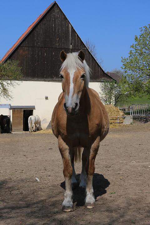 Klosterlangheim; Lankreis Lichtenfels; Foto: Barbara Herbst