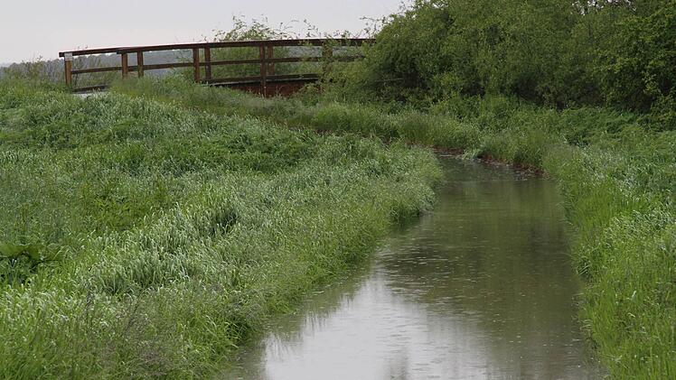 Der Radweg zum Haider Steg über die Aisch in der Gemeinde Hallerndorf ist unpassierbar. Foto: Mathias Erlwein