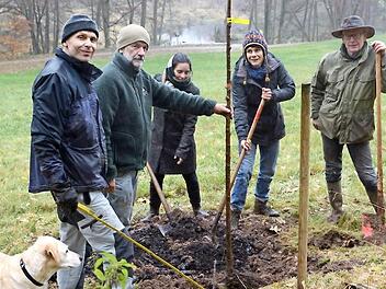 BN-Aktive pflanzen selten geworden Kirschsorten an der Sinn. Von links: Claus Schenk, Robert Hildmann, Larissa Renninger, Eva Reichert-Nelkenstock und Franz Zang. Foto: Elsabeth Assmann