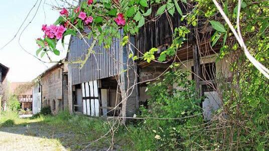 Einstmals der große Anziehungspunkt für Bramberg, verwildert der Hof im Ortszentrum zusehends. Foto: Eckehard Kiesewetter
