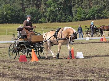 Bevor es gilt am Abend die Bayerischen Meister zu küren, stand bei den Meisterschaften in Klebheim noch der Hindernissparcours für Pferd und Kutscher auf dem Programm. Foto: Roland Meister