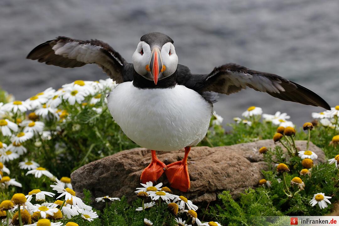 Bilder aus Island