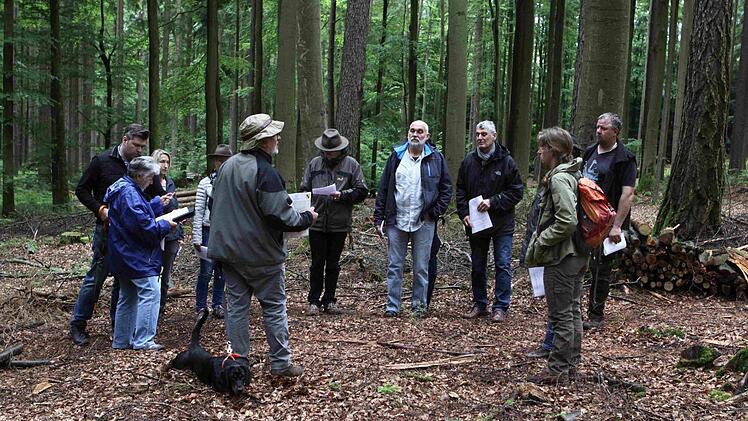 Die Teilnehmer in gesundem Bestand aus Buche und Lärche Foto: Thomas Dill
