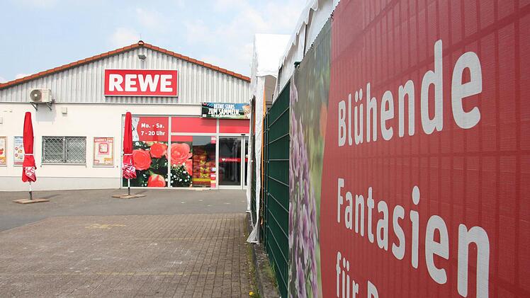 Eine blühende Fantasie hatten weder die Mitarbeiter des Steinberger Rewe-Marktes, die die Spinne fanden, noch der hinzugerufene "Experte". Um ein giftiges Exemplar handelte es sich bei dem gefundenen Achtbeiner aber nicht. Foto: Marian Hamacher/Archiv