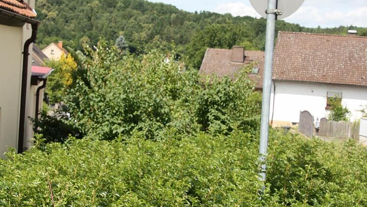 In der Kardinal-Döpfner-Straße soll ein Denkmal an den Kirchenmann erinnern.   Foto: Edgar Bartl