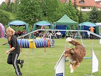Der Parcours war nicht nur für Hunde herausfordernd.  Foto: Evi Seeger