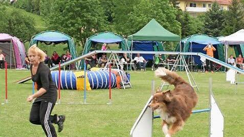Der Parcours war nicht nur für Hunde herausfordernd.  Foto: Evi Seeger