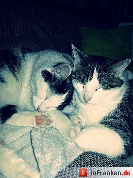 Foto: Melisssa Heublein