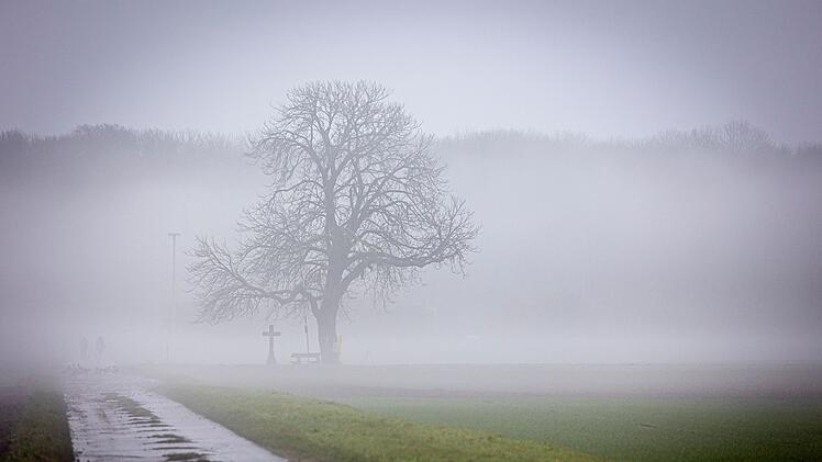 Wetter