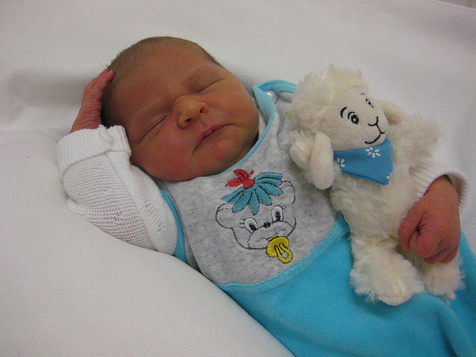 Babygalerie 334