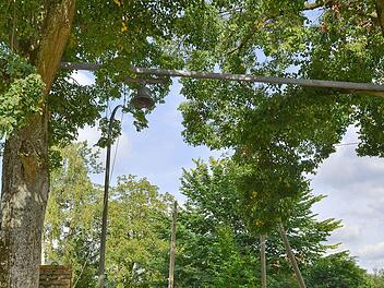 Der Geisdorfer "Glockenstuhl" zwischen zwei Linden.  Foto:  Ronald Rinklef
