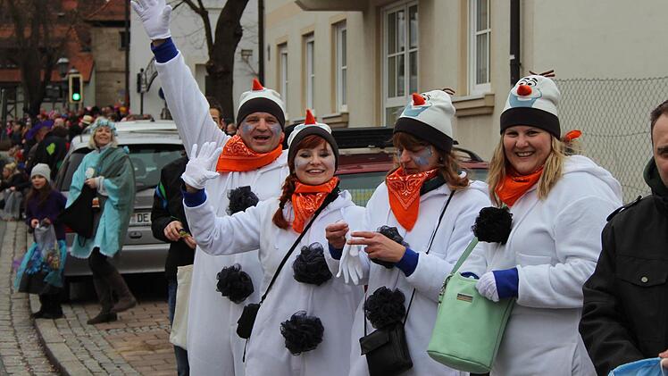 Der Faschingsumzug in Höchstadt war auch 2017 wieder sehr gut besucht. Foto: Franziska Rieger