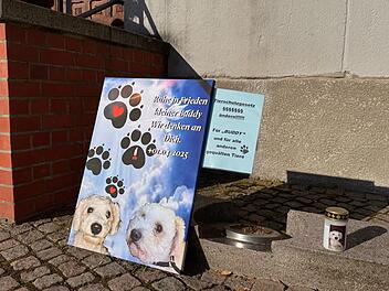 Prozess um get&ouml;teten Hund "Buddy"