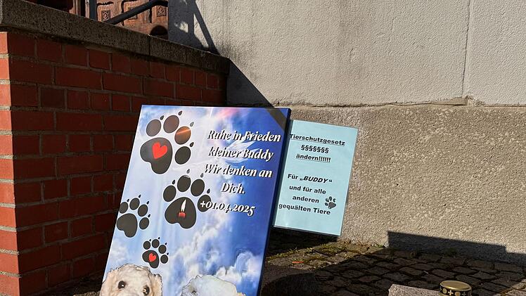 Prozess um get&ouml;teten Hund "Buddy"