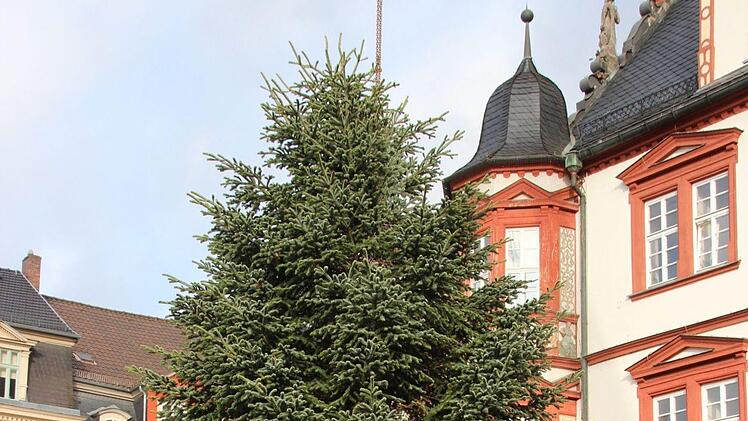 Der Baum steht!Oliver Schmidt