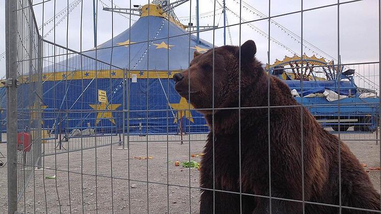 Besonders beliebt bei den kleinen Gästen: der Braunbär Ben.