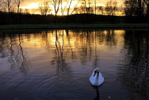 Sp&auml;therbst Teil 2