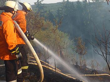 Die Feuerwehrleute hatten beim Waldbrand in der Nähe von Zeyern alle Hände voll zu tun. Foto: Stefan Wicklein