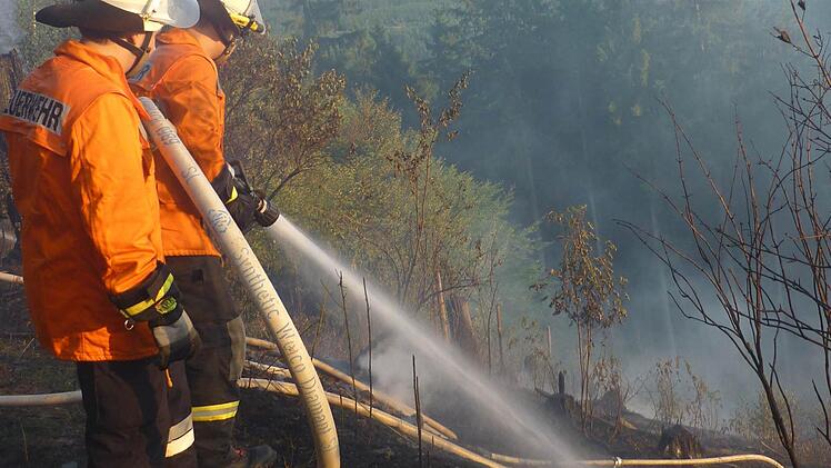 Die Feuerwehrleute hatten beim Waldbrand in der Nähe von Zeyern alle Hände voll zu tun. Foto: Stefan Wicklein
