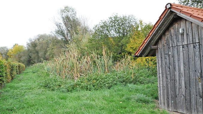Hinter dem Grün verbirgt sich die Schilfkläranlage von Rabelsdorf, wo die Gebühren die nächsten drei Jahre konstant bleiben. Foto: Simon Albrecht