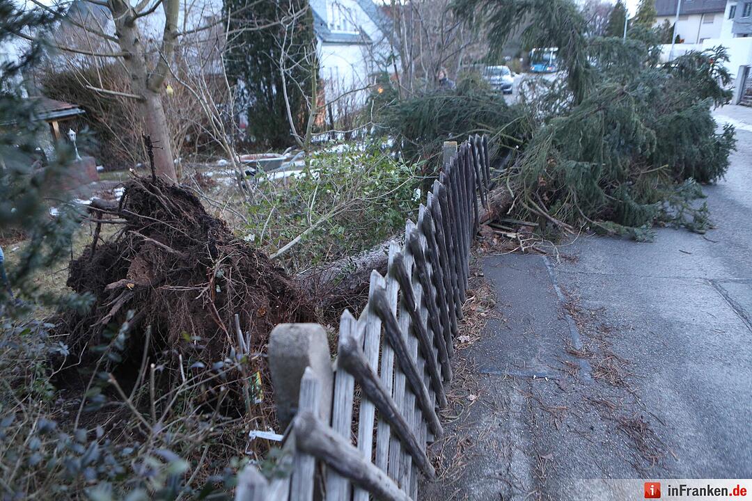 Baum stürzt in Oberasbach auf Straße