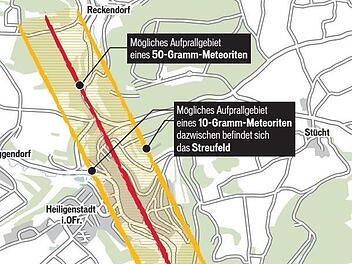 Grafik: Carolin Höfler