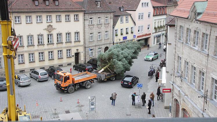 Es ist jedes Jahr aufs Neue ein faszinierendes Erlebnis, wenn der Christbaum abgesägt, zum Rathausplatz gebracht und aufgestellt wird. Fotos: Josef Hofbauer