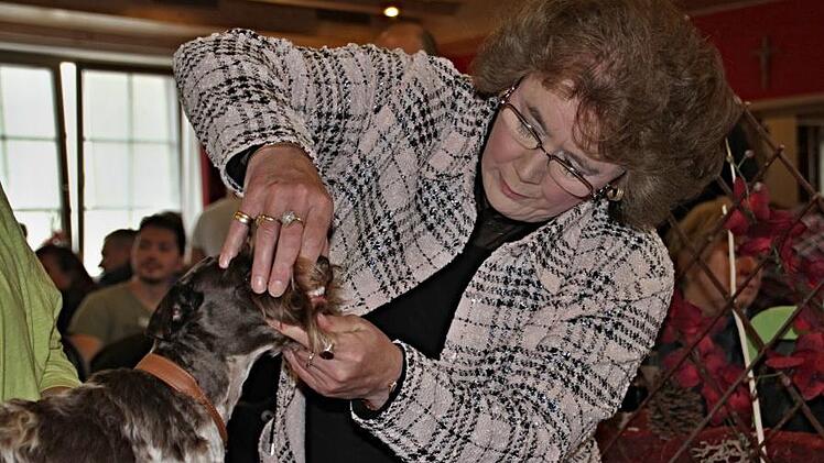 Die weltweit anerkannte Zuchtrichterin Maritza Morrison (rechts) vom englischen Kennel Club begutachtet hier das Gebiss eines Hundes. Foto: Helmut Will
