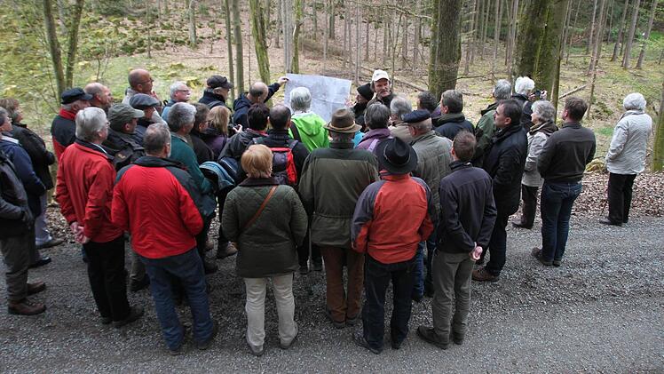 Im Feuerbachtal im Neuwirtshauser Forst Foto: Paul Ziegler