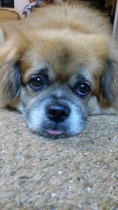 Foto: Missy-W