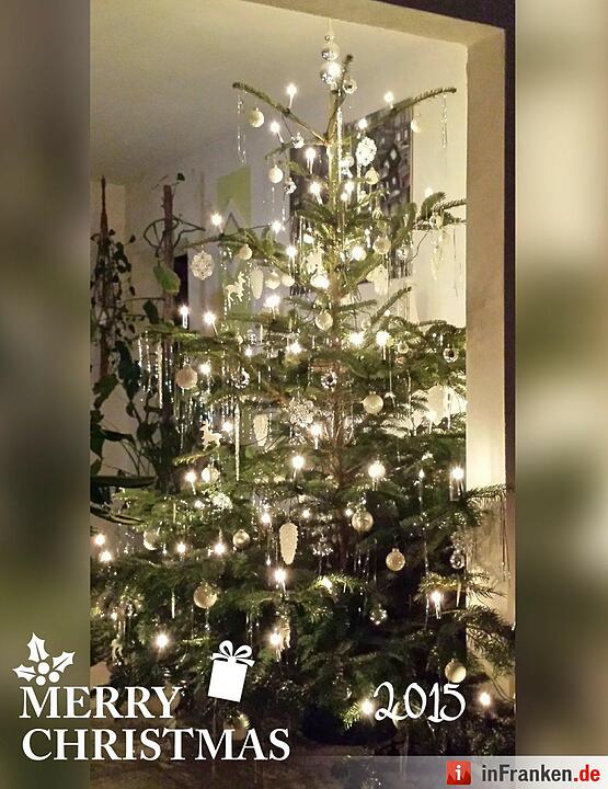 Weihnachten in Franken: Die Christbäume unserer Leser